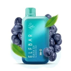 ELF BAR RAYA D1 – Blueberry Mint